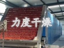 紅棗帶式干燥機